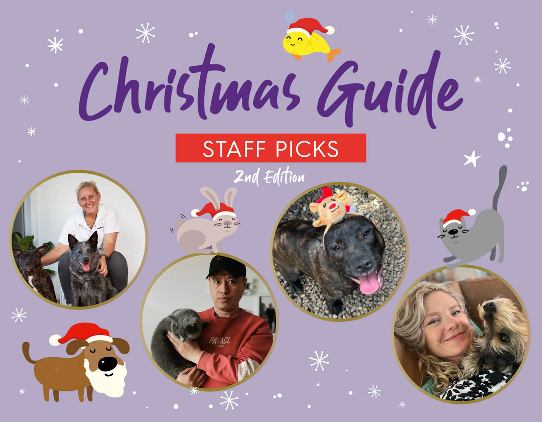 Christmas Gift Guide - Staff Picks: 2nd Edition
