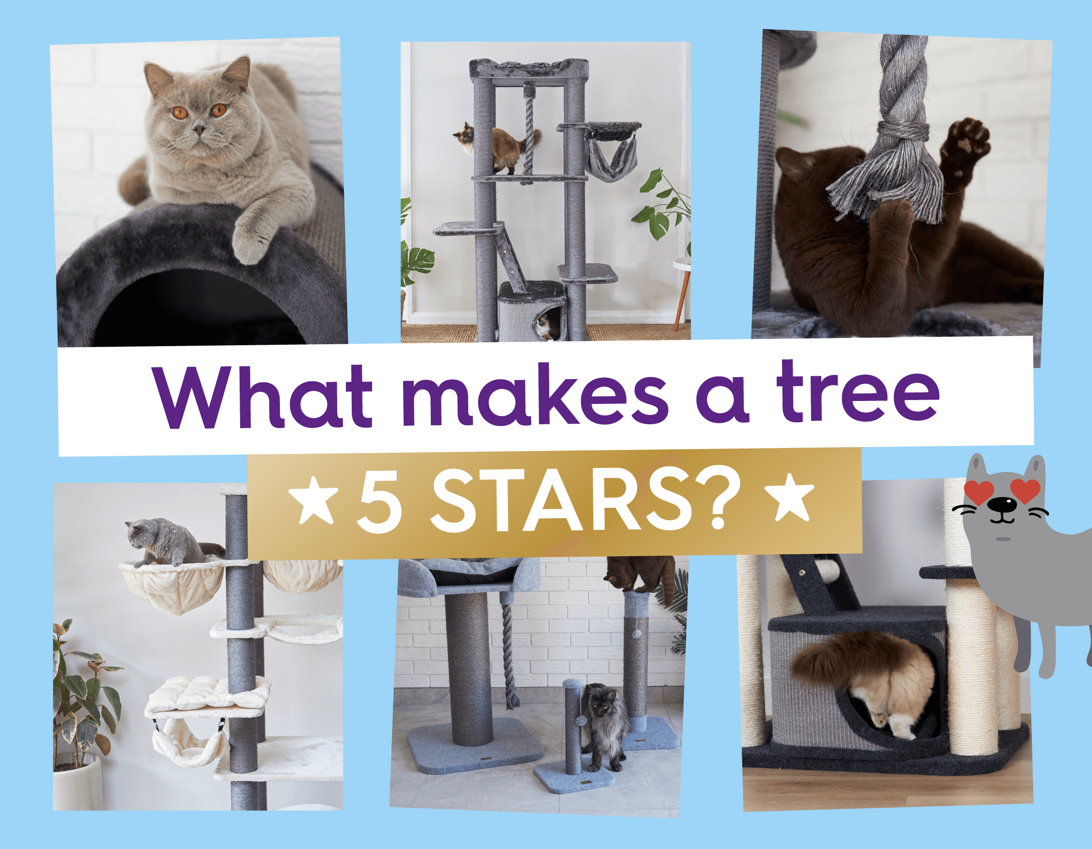 5Star Cat Furniture Fur Modern Moggies ⭐️ Kazoo Pet Co