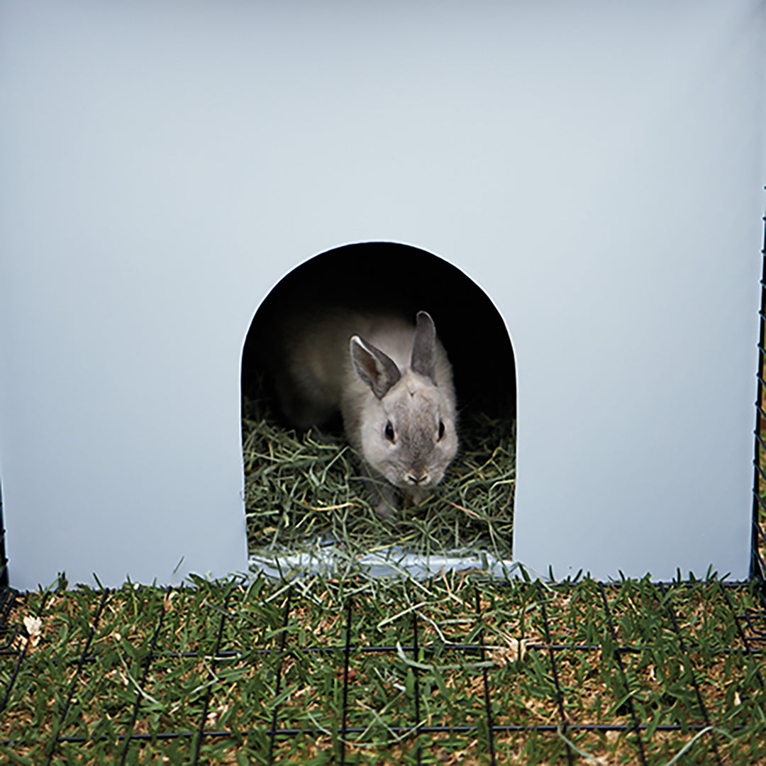 Small Animal Housing