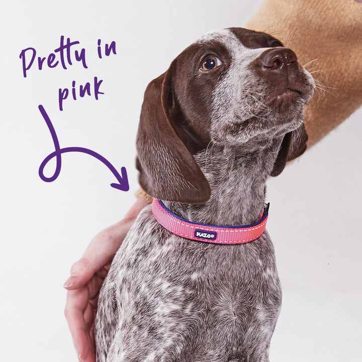 Active Easy-clip Dog Collar - Bloom Burst