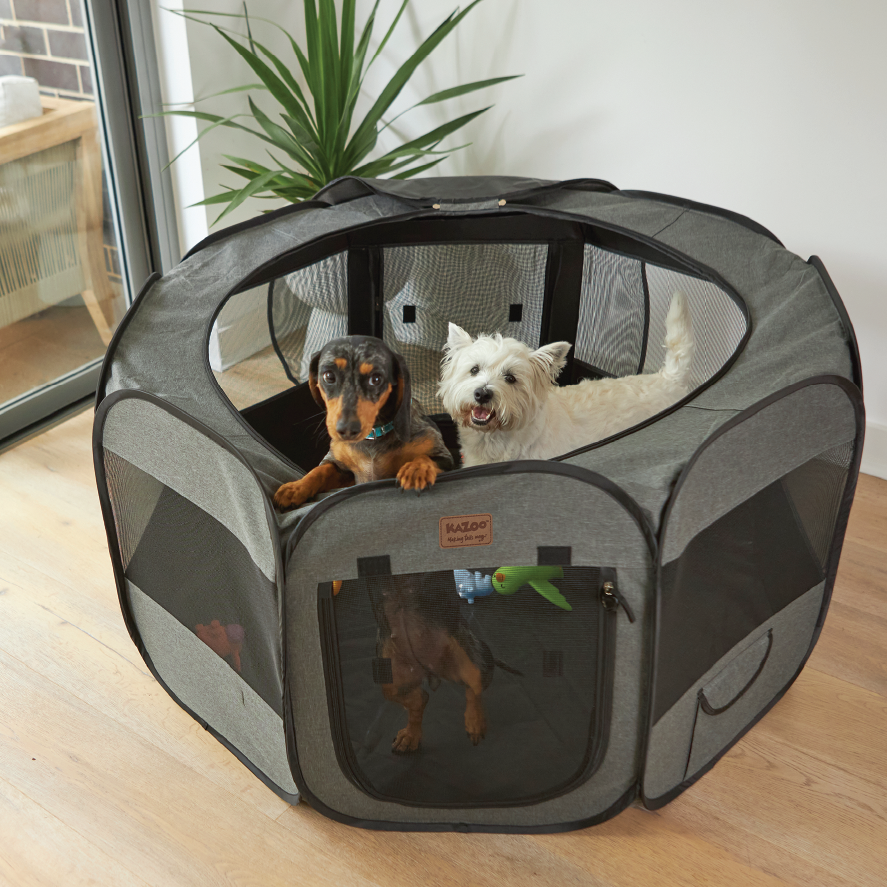 Premium Pop Up Pet Playpen – Kazoo Pet Co