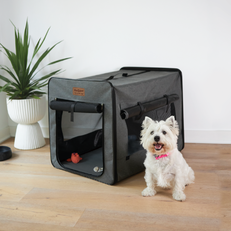 Premium Pet Travel Crate – Kazoo Pet Co
