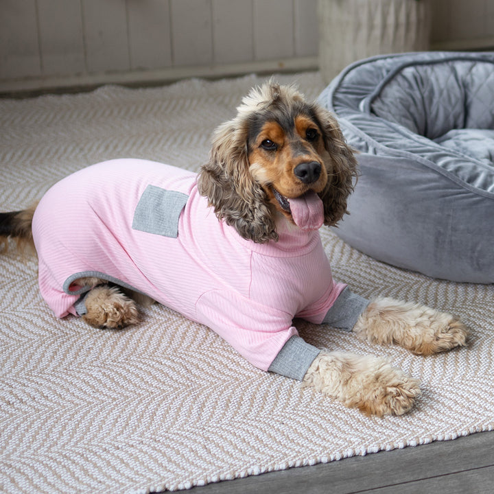 Long John Dog Pyjamas - Pink