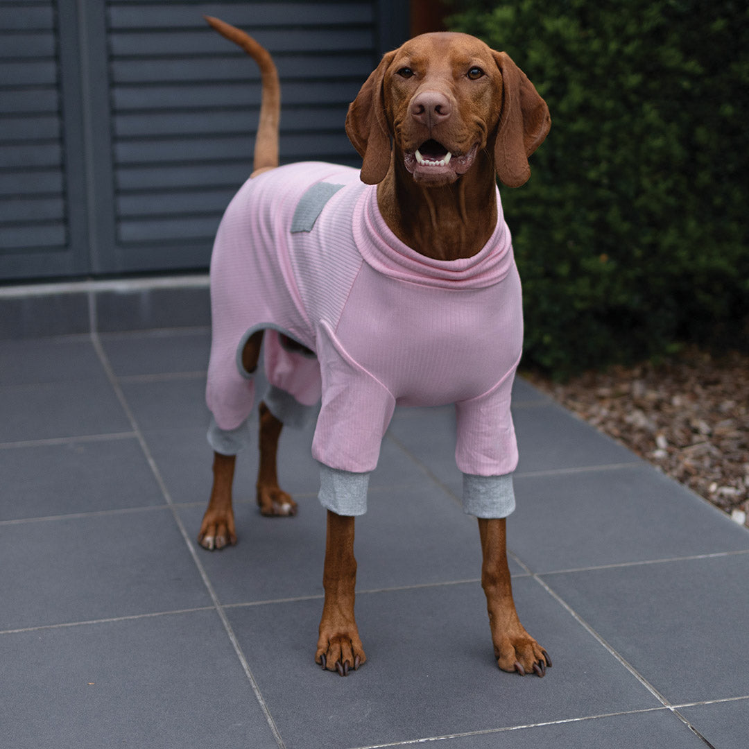 Long John Dog Pyjamas - Pink