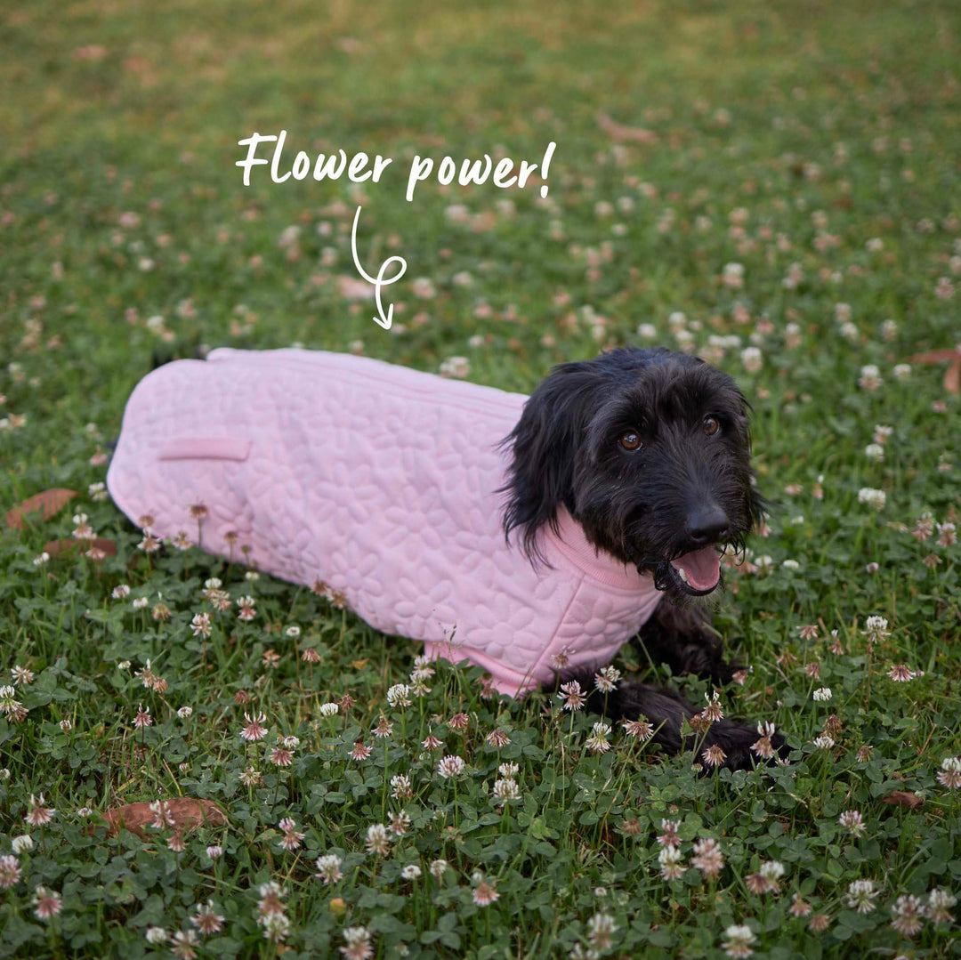 Flower Dog Jacket - Pink