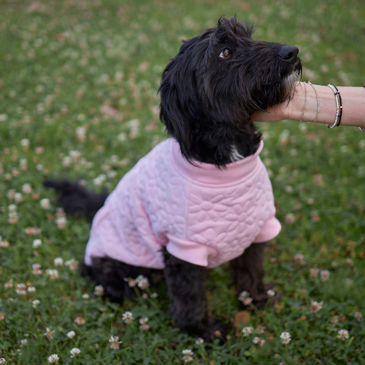 Flower Dog Jacket - Pink