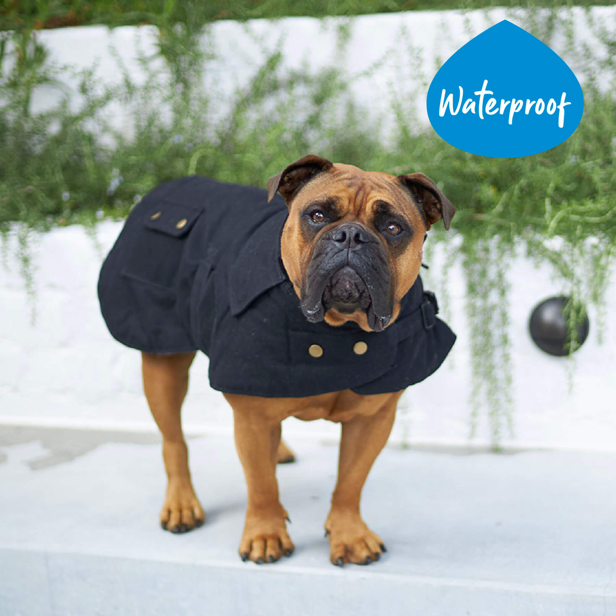 Aussie Oilskin Waterproof Dog Coat Black Kazoo Pet Co