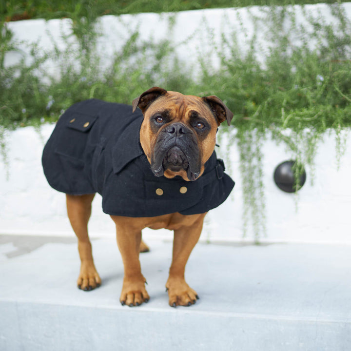 Aussie Oilskin Dog Coat - Black