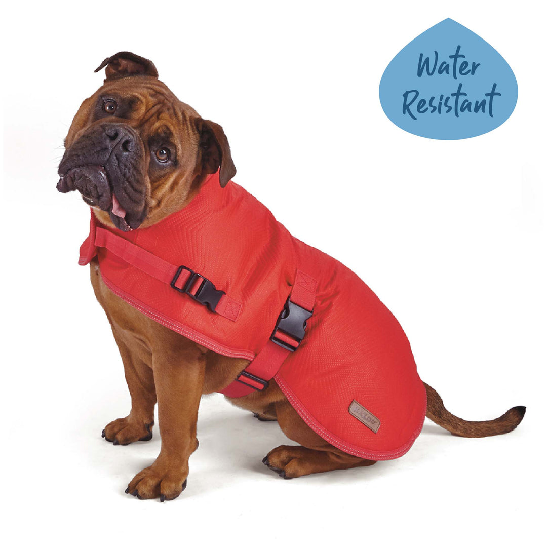 Adventure Dog Coat - Red