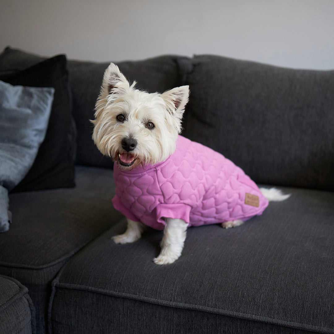 Pink Petal Dog Jacket – Kazoo Pet Co - Main Image