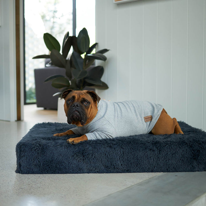 Pooch Dog Pajamas - Grey
