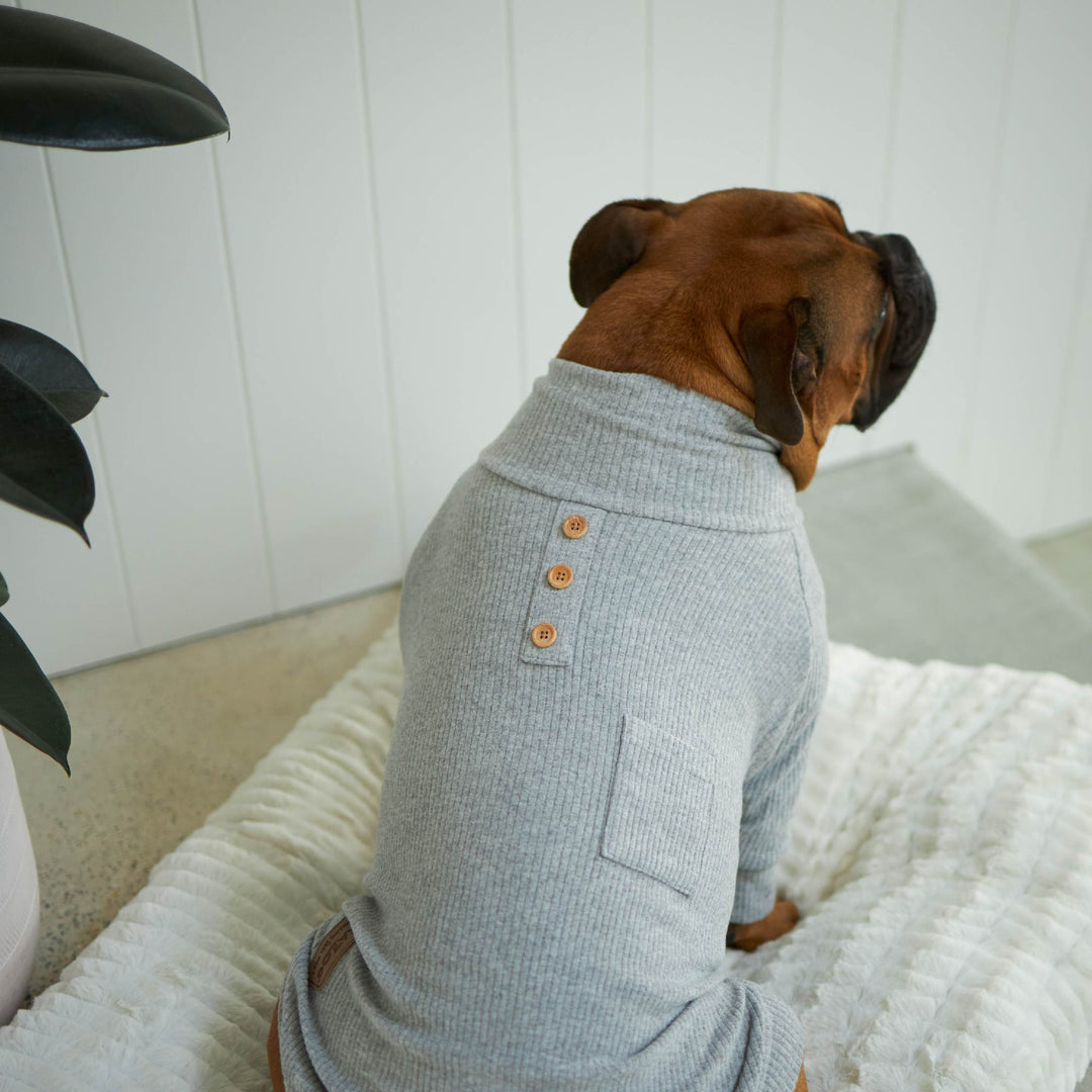 Pooch Dog Pajamas - Grey