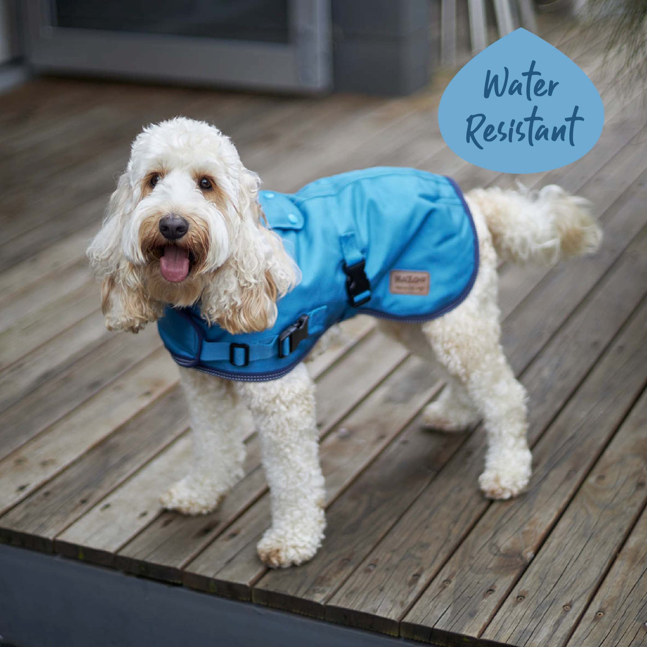 Eco Adventure Dog Coat Ocean Kazoo Pet Co