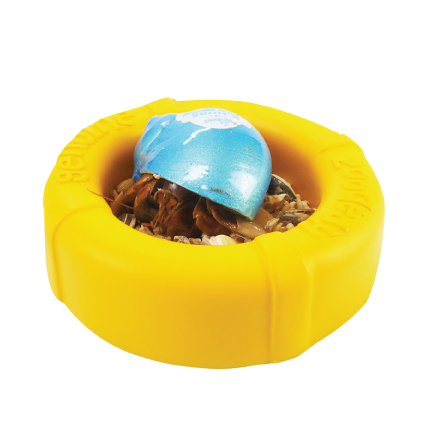 Hermit Crab Food & Water Bowl