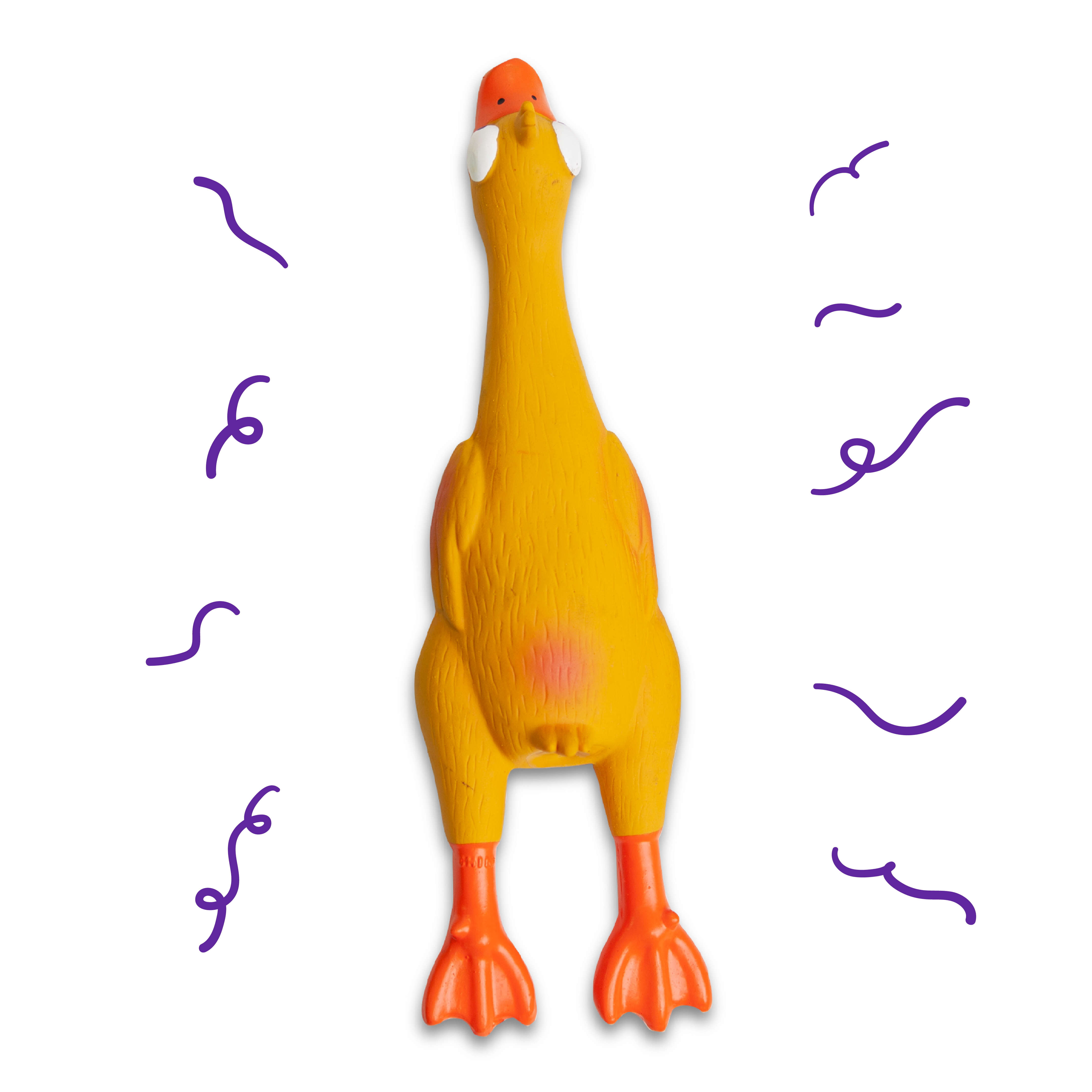 Dozy Duck Squeaky Dog Toy Kazoo Pet Co