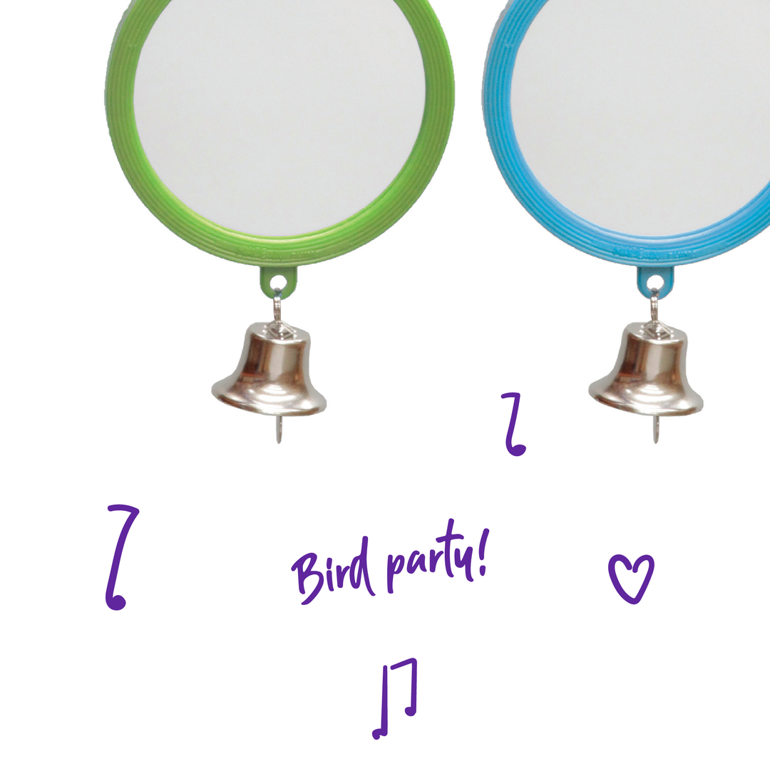 Round Mirror with Bell - Large - Kazoo Pet Co