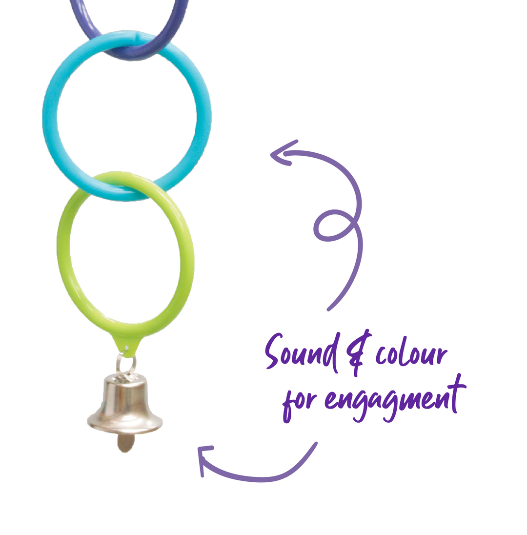 Triple Cage Ring with Bell - Kazoo Pet Co