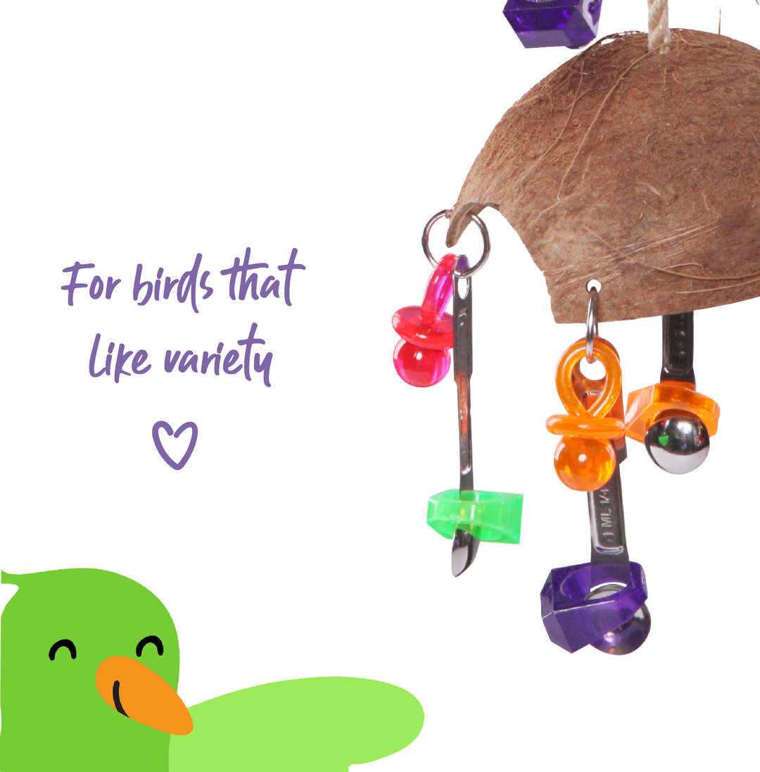 Split Coconut  with Toys and Spoons - Kazoo Pet Co