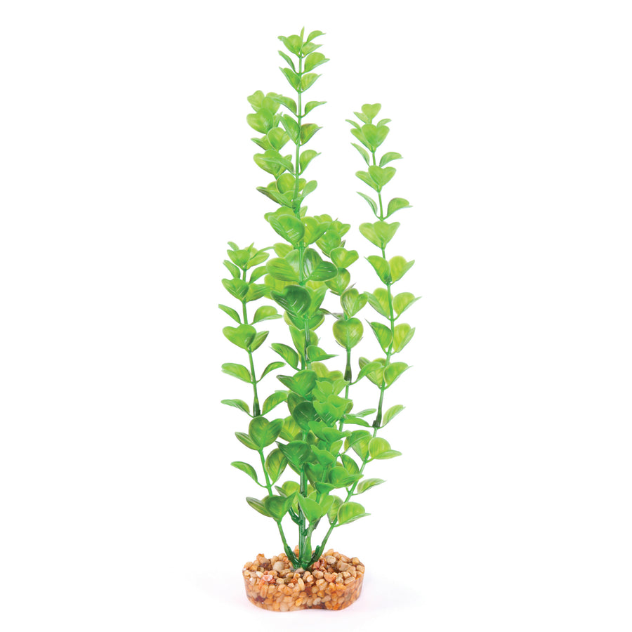 Decorative Plant - Medium Leaf Green - Kazoo Pet Co
