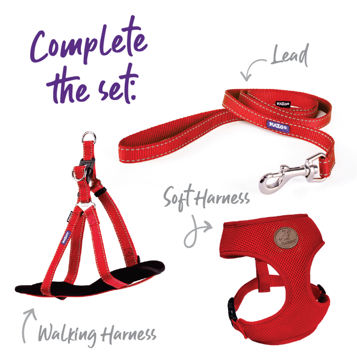 Classic Easy-clip Dog Collar - Red