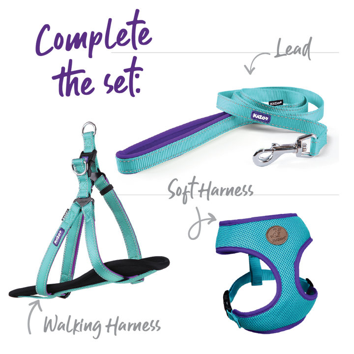 Active Easy-clip Dog Collar - Aqua & Purple