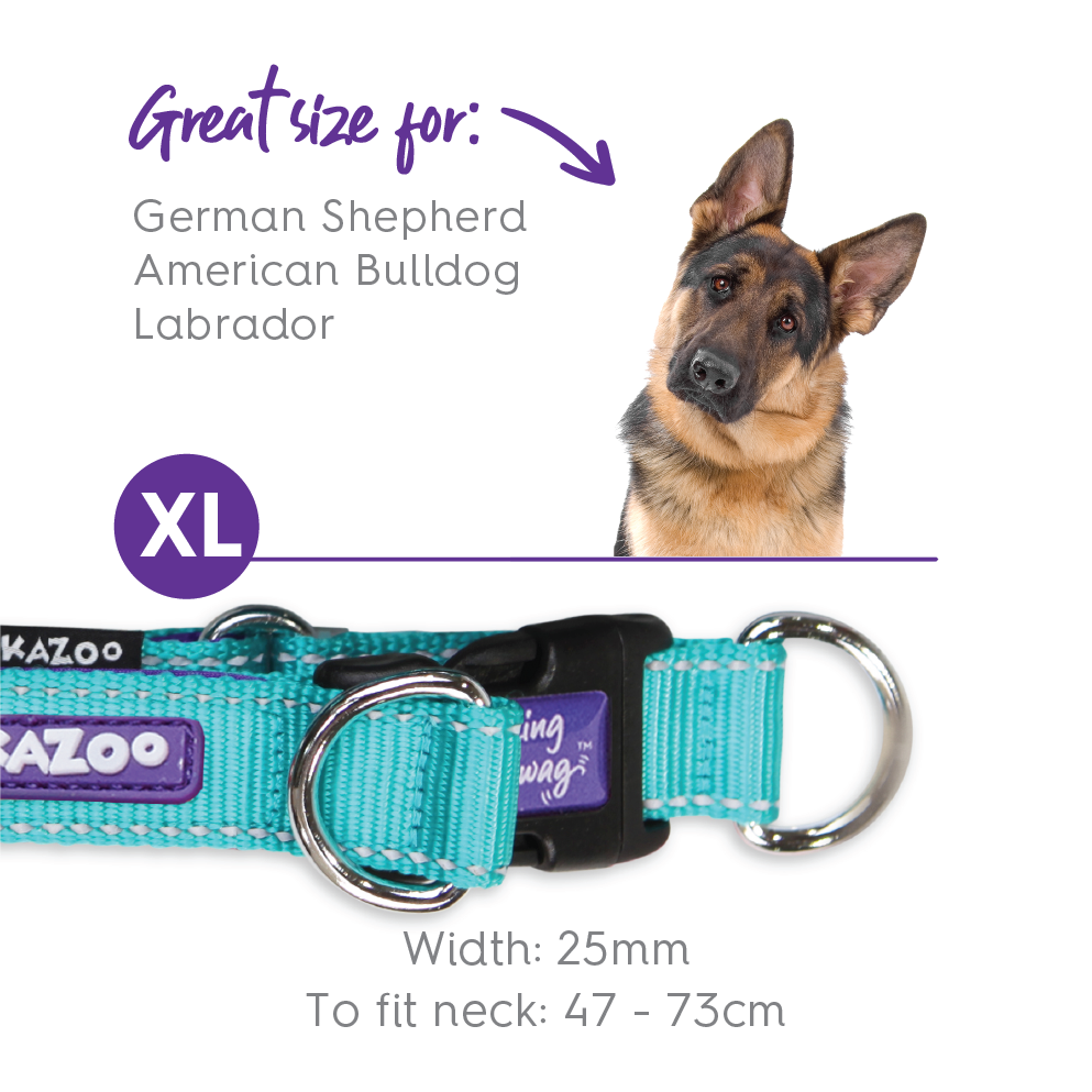 Active Easy-clip Dog Collar - Aqua & Purple