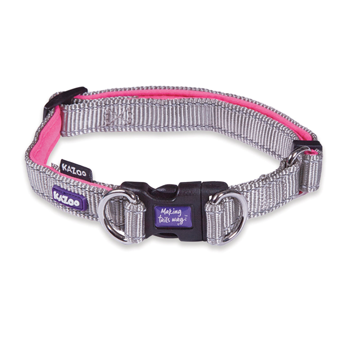 Active Easy-clip Dog Collar - Silver & Pink