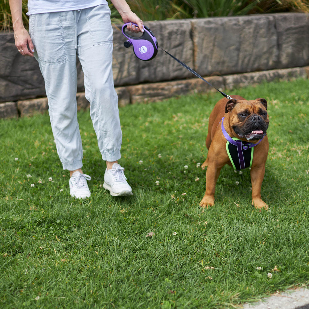 Retractable Dog Lead w/ Poop Bag Dispenser - 8 metre - up to 50kg