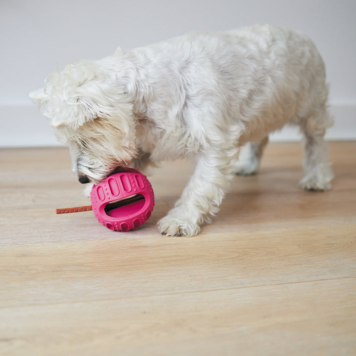 Chew & Treat Enrichment Dog Ball
