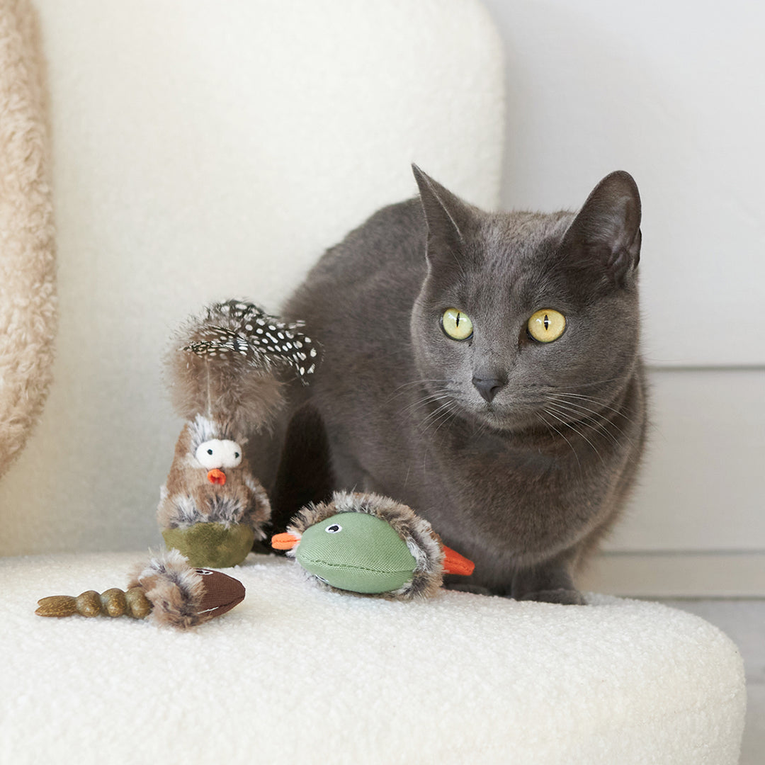Eco-Friendly Wobble Bird cat toy with recycled materials