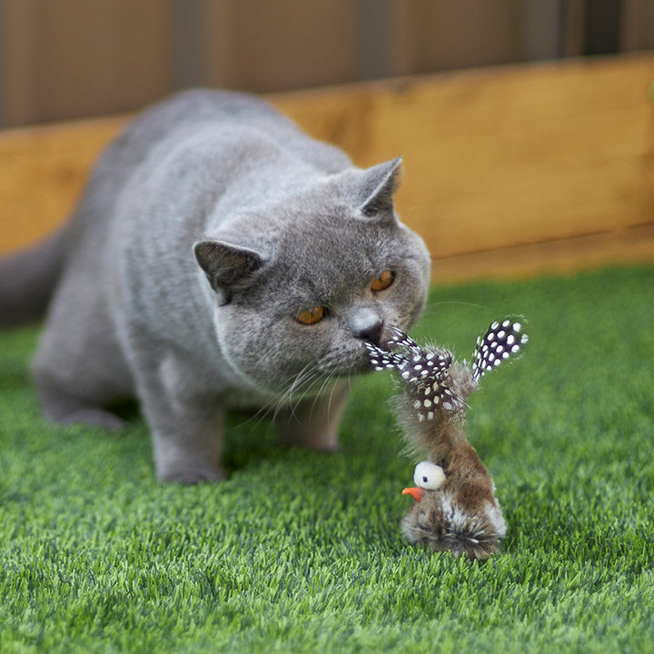 Eco-Friendly Wobble Bird cat toy with recycled materials