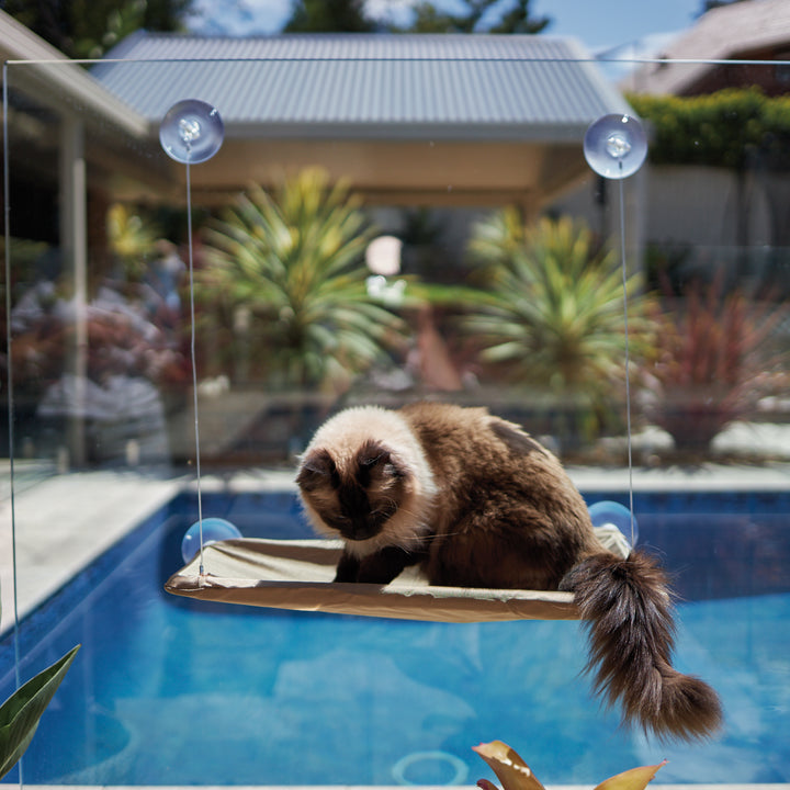 The Lookout Window Cat Bed - Kazoo Pet Co