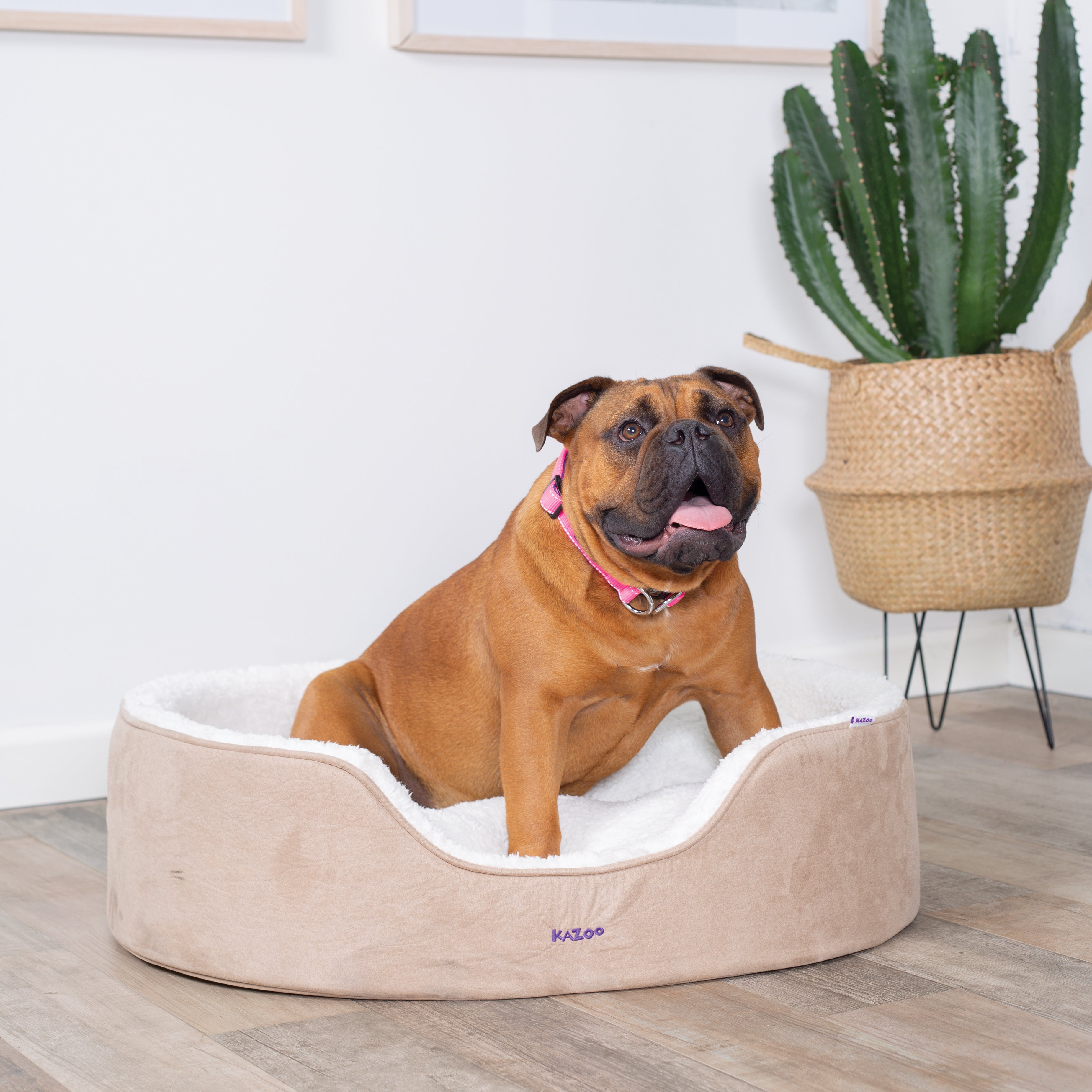 Manhattan Dog Bed Coffee & White Kazoo Pet Co