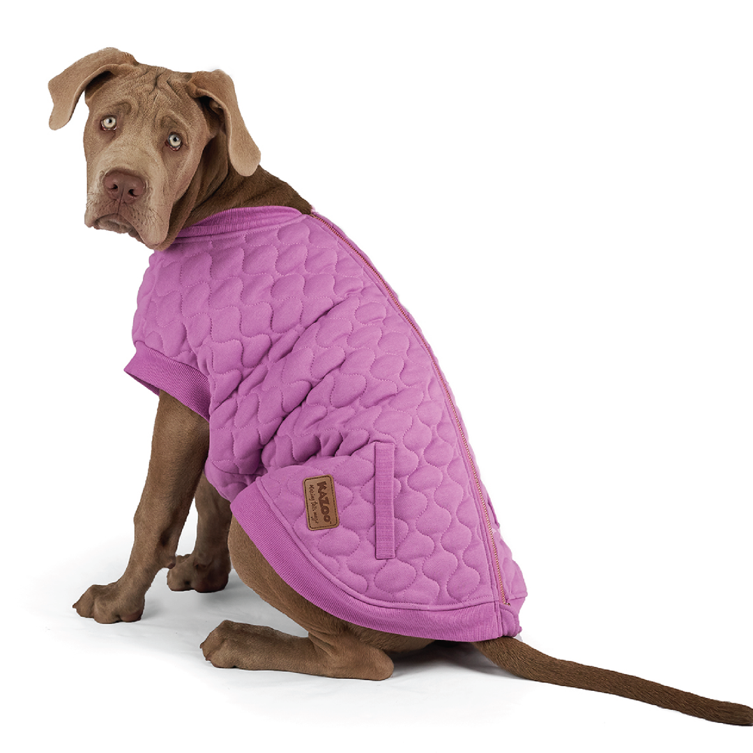 Pink Petal Dog Jacket
