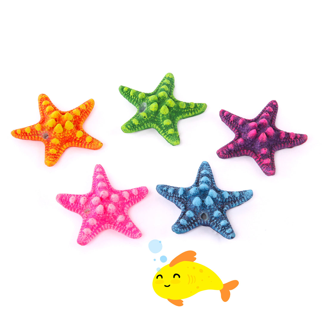 Starfish 5 Pack