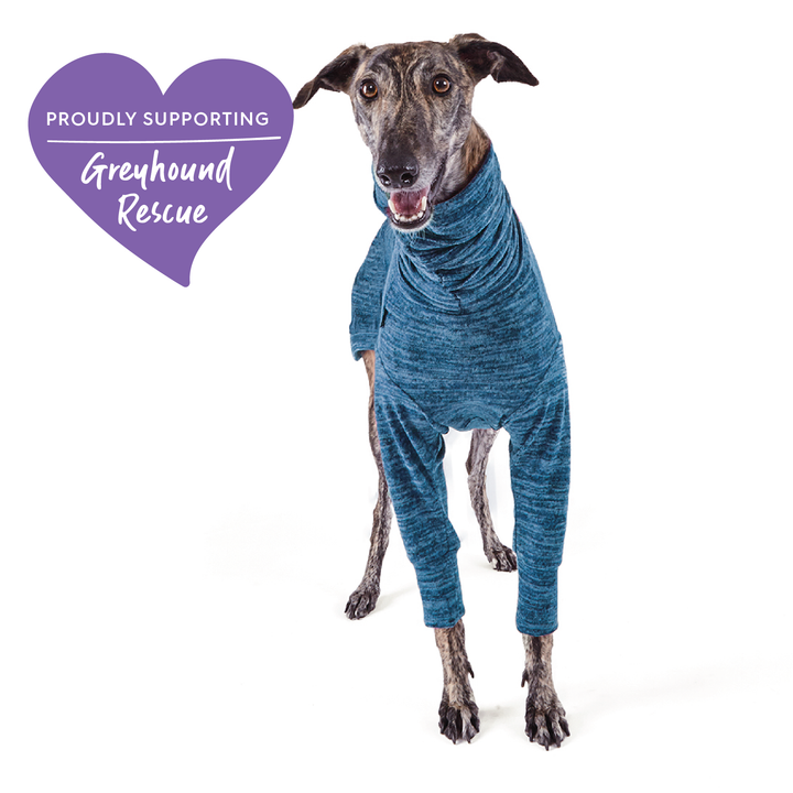 Greyhound Softie Jumper - Blue