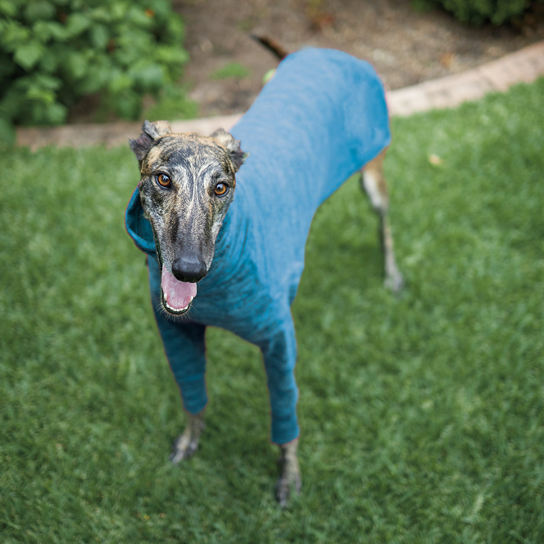 Greyhound Softie Jumper - Blue