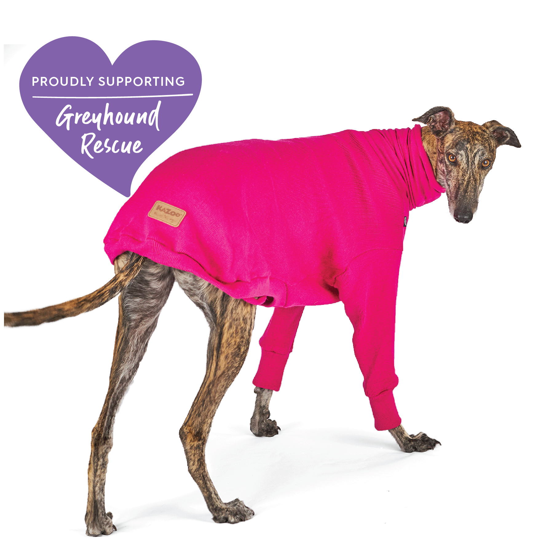 Greyhound jumpers hot sale