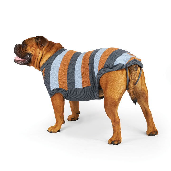 Bumble Dog Jumper - Seagrass