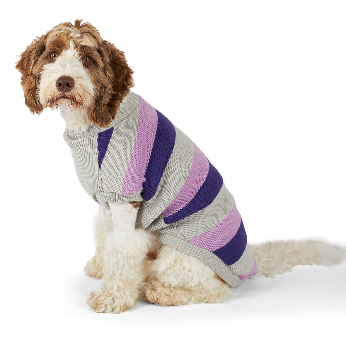 Bumble Dog Jumper Lavender Kazoo Pet Co