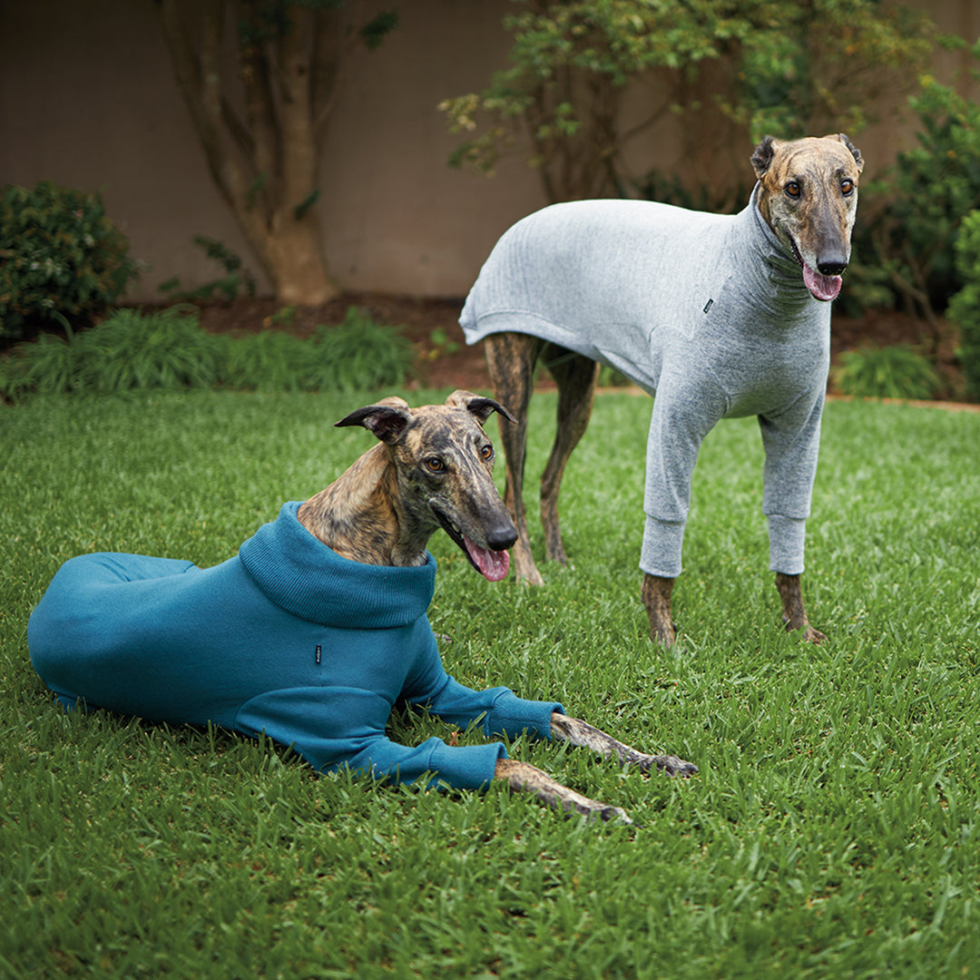 Greyhound Softie Jumper - Grey