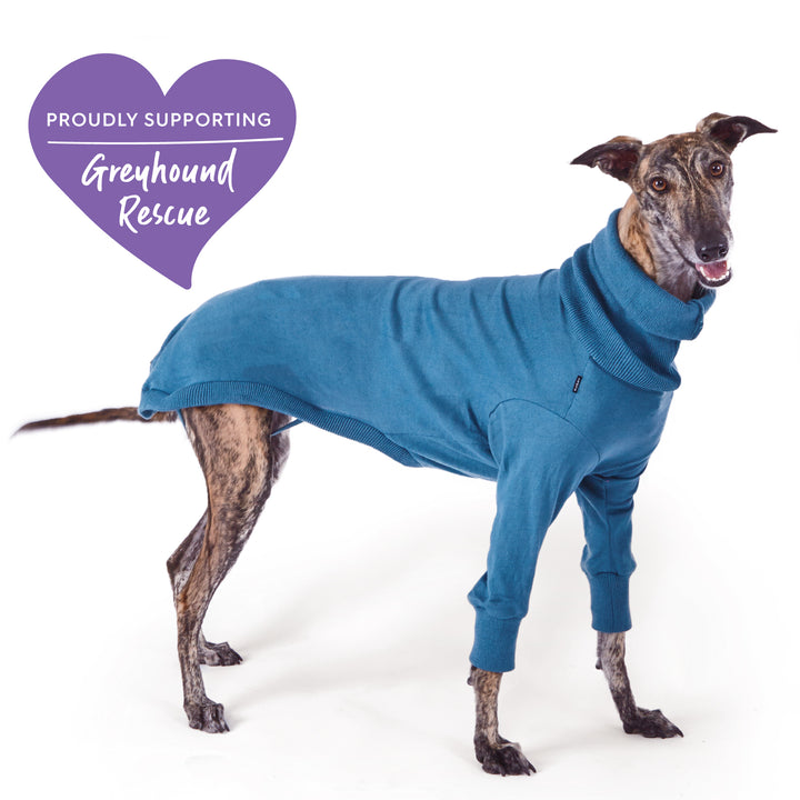 Greyhound Knit Jumper - Bondi