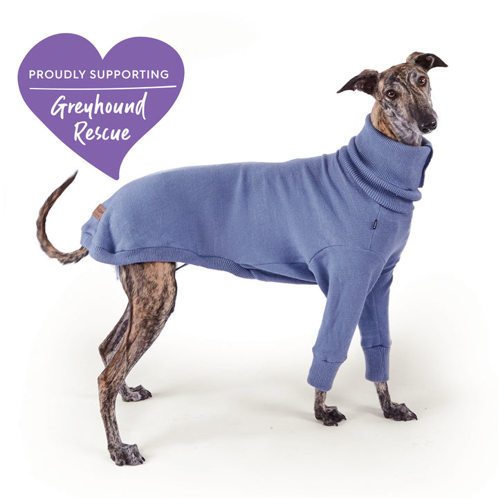 Greyhound Knit Jumper - Brighton
