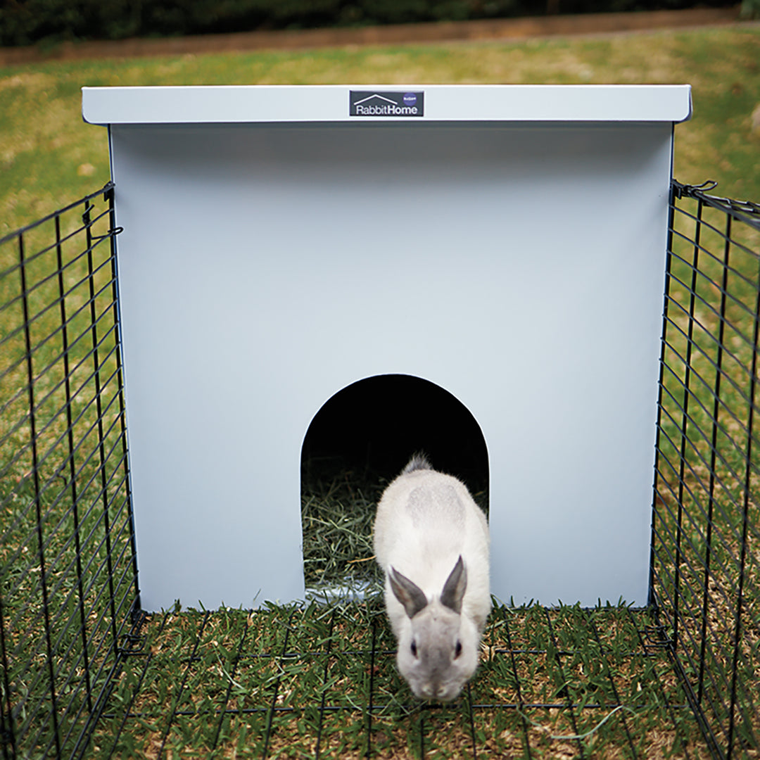 Rabbit Home - Kazoo Pet Co