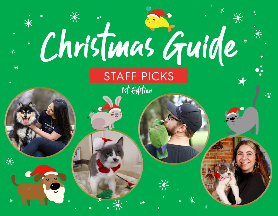Christmas Gift Guide - Staff Picks: 1st Edition