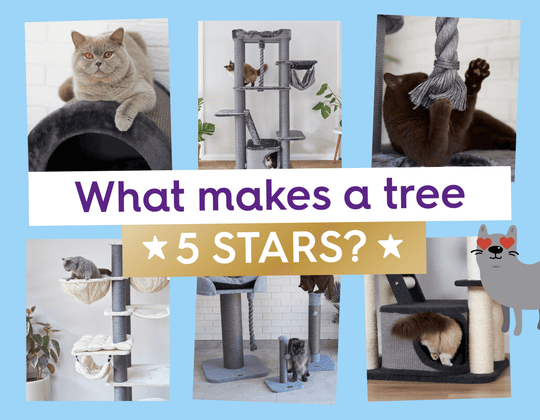 5-Star Cat Furniture Fur Modern Moggies ⭐️