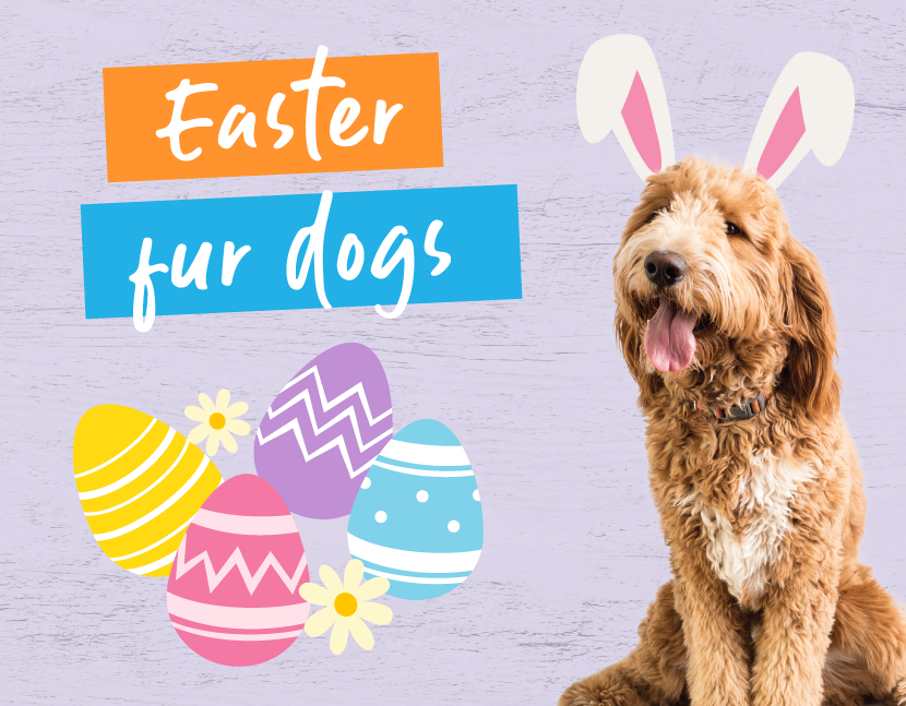 Easter Fur Dogs