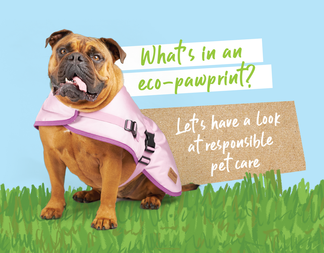 An Eco Pawprint? How To Become A Green Pet Owner