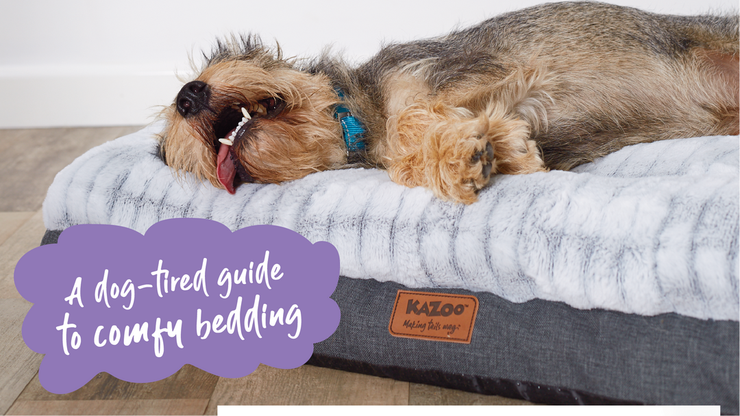 A dog-tired guide to comfy bedding