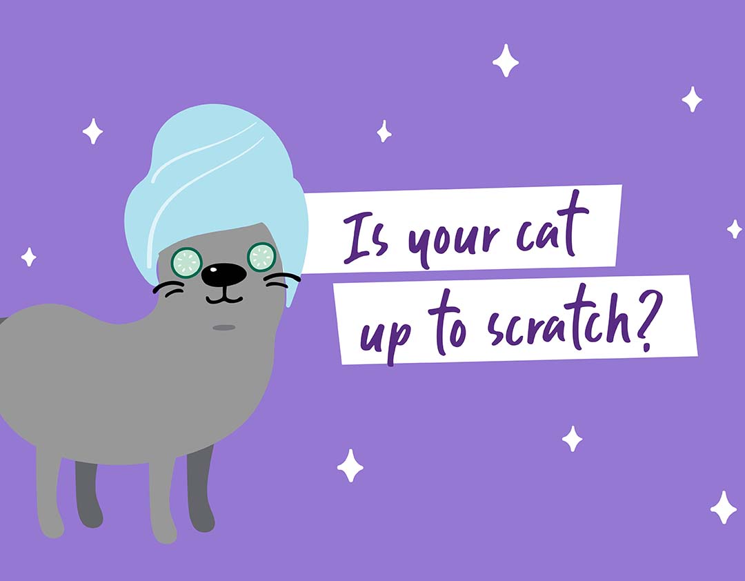 Is your cat up to scratch?